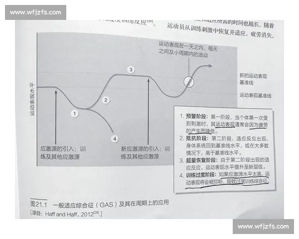 科学运动训练与体能提升全流程指导助你打造健康强健身体方案